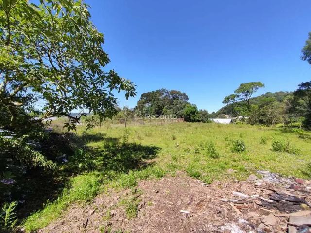 Terreno / Lote para Venda em Gramado/RS Floresta