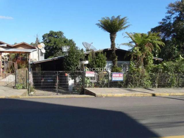 Terreno / Lote para Venda em Gramado/RS Floresta