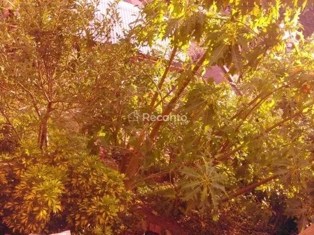 Terreno / Lote para Venda em Gramado/RS Floresta