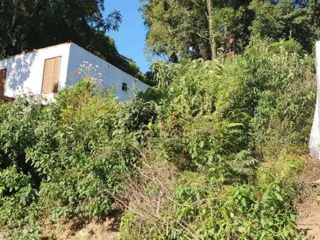 Terreno / Lote para Venda em Gramado/RS Floresta