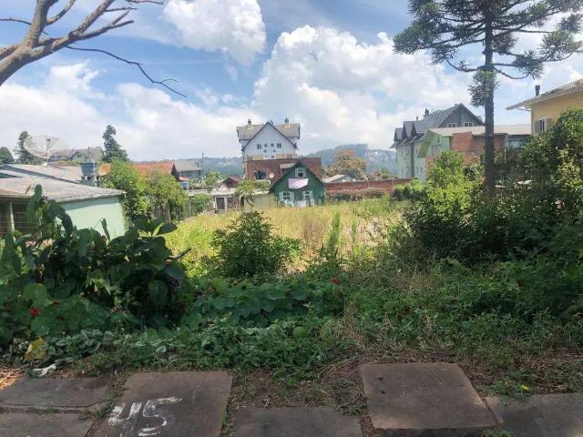 Terreno / Lote para Venda em Gramado/RS Floresta