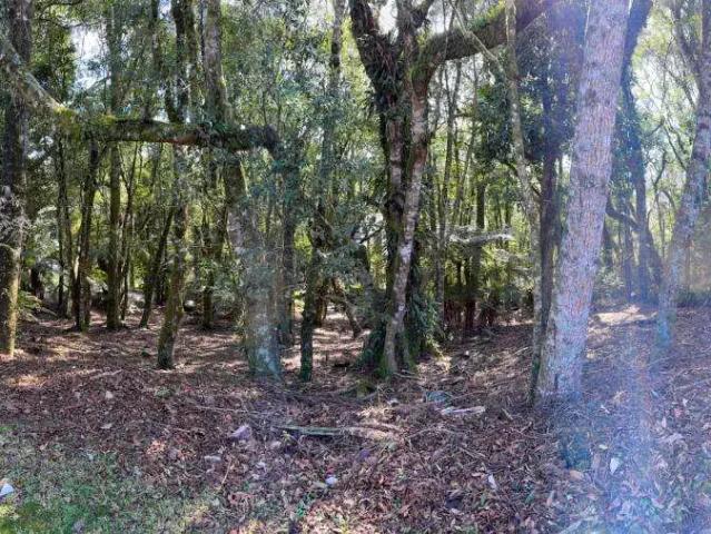 Terreno / Lote para Venda em Gramado/RS Lagos de Gramado