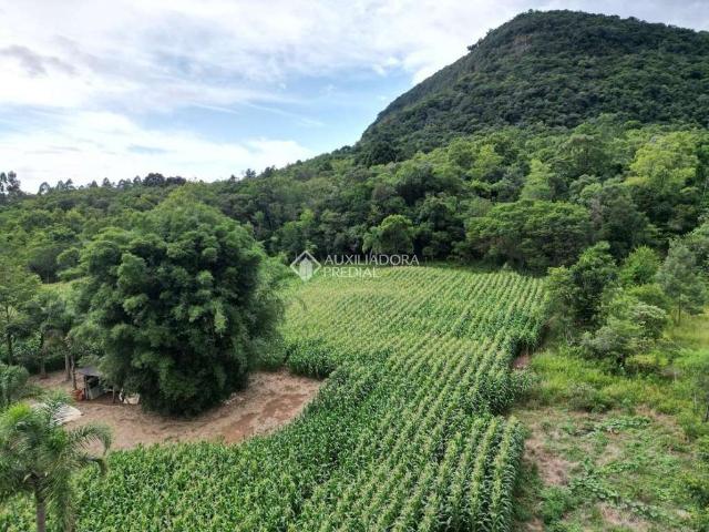 Terreno / Lote para Venda em Gramado/RS Centro