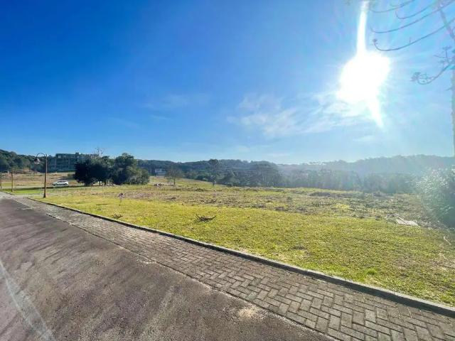 Terreno / Lote para Venda em Gramado/RS Linha Ávila