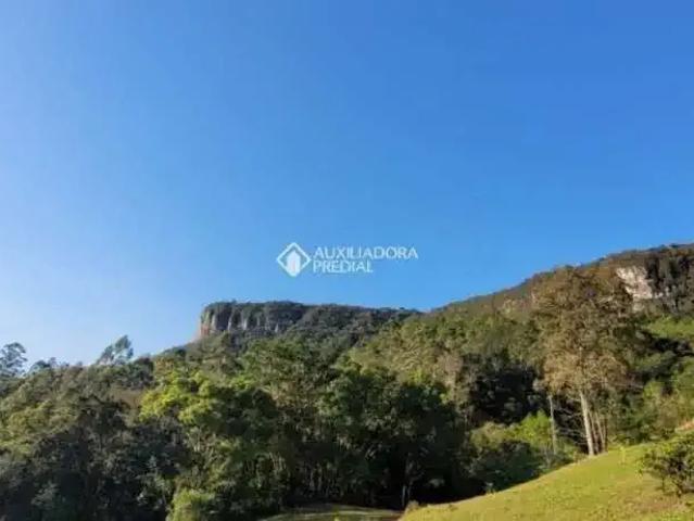 Terreno / Lote para Venda em Gramado/RS Linha Furna