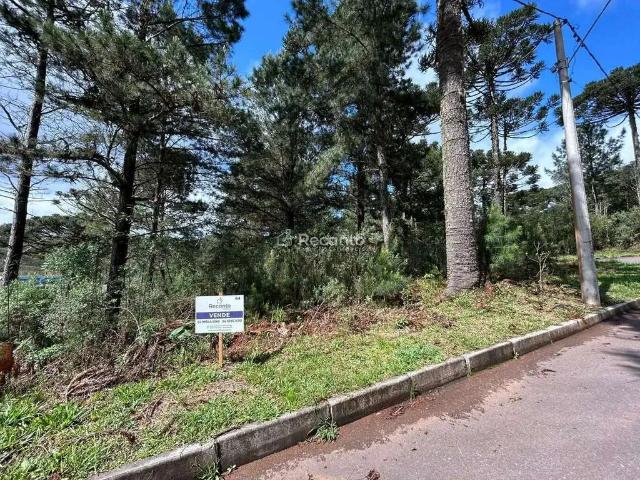 Terreno / Lote para Venda em Gramado/RS Moura