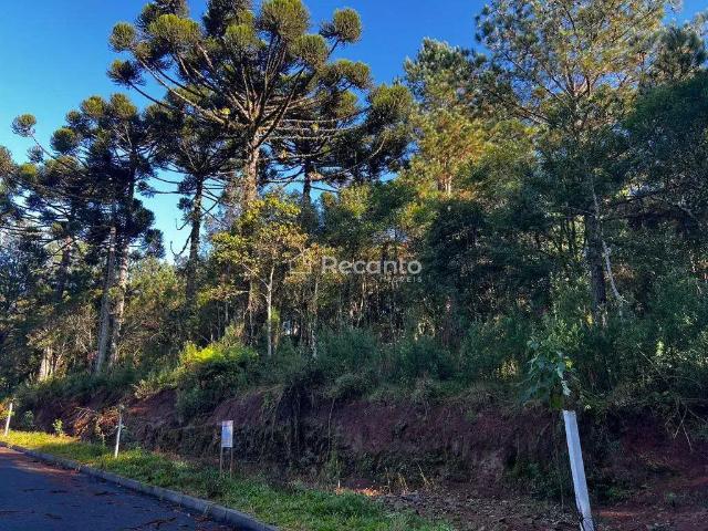 Terreno / Lote para Venda em Gramado/RS Moura