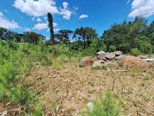 Terreno / Lote para Venda em Gramado/RS Moura