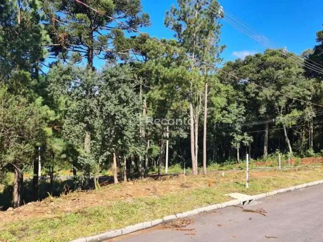 Terreno / Lote para Venda em Gramado/RS Moura