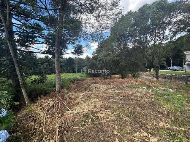 Terreno / Lote para Venda em Gramado/RS Mato Queimado