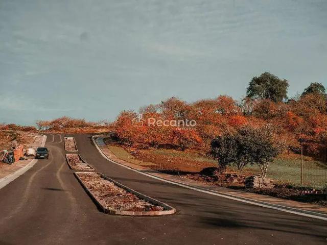 Terreno / Lote para Venda em Gramado/RS Mato Queimado