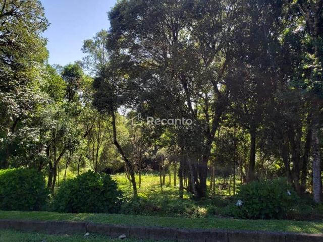 Terreno / Lote para Venda em Gramado/RS Mato Queimado