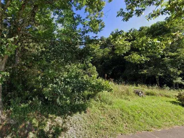 Terreno / Lote para Venda em Gramado/RS Serra Grande