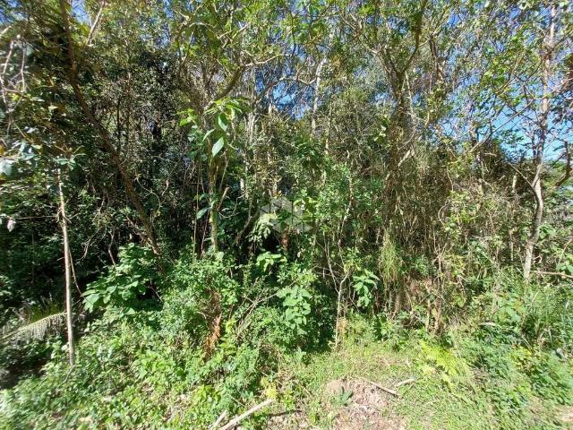 Terreno / Lote para Venda em Gramado/RS Pórtico