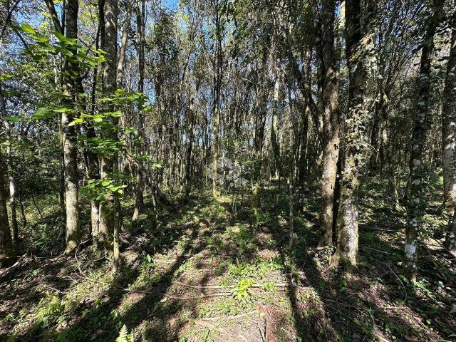 Terreno / Lote para Venda em Gramado/RS Pórtico
