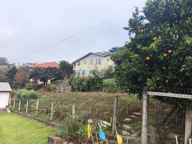 Terreno / Lote para Venda em Gramado/RS Pórtico