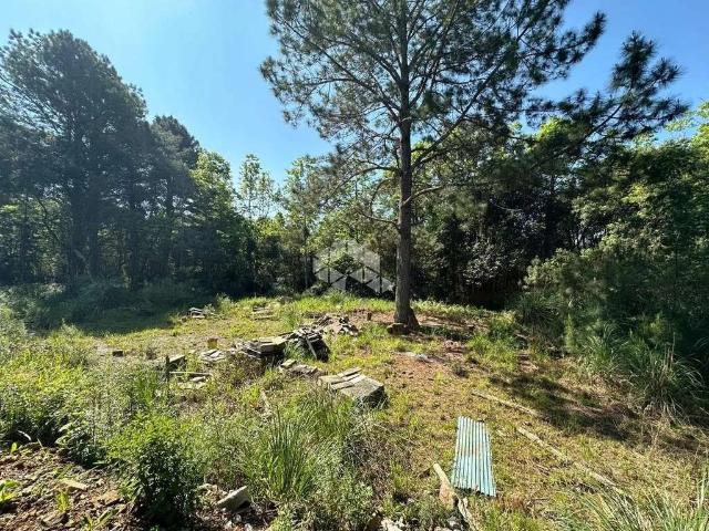 Terreno / Lote para Venda em Gramado/RS Pórtico