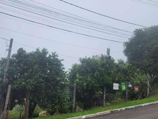 Terreno / Lote para Venda em Gramado/RS Pórtico