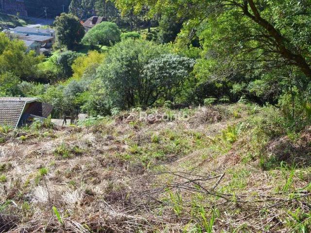 Terreno / Lote para Venda em Gramado/RS Pórtico