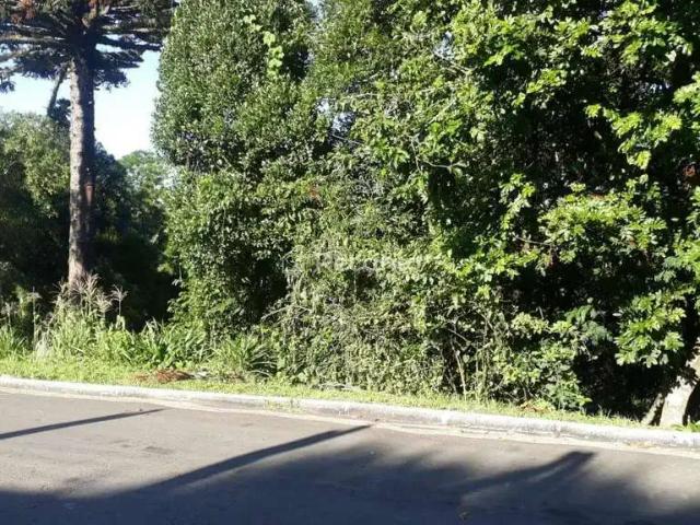 Terreno / Lote para Venda em Gramado/RS Piratini