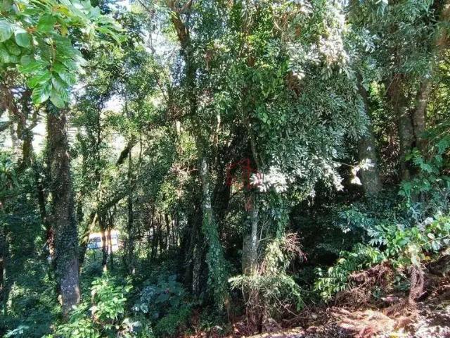 Terreno / Lote para Venda em Gramado/RS Piratini