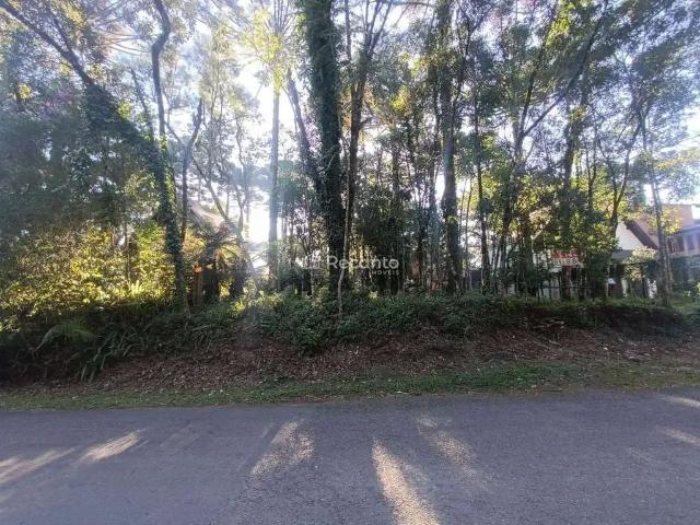 Terreno / Lote para Venda em Gramado/RS Planalto