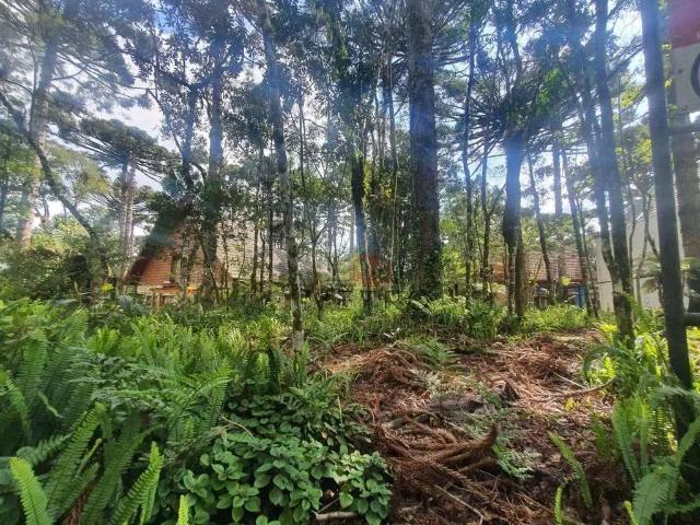 Terreno / Lote para Venda em Gramado/RS Planalto