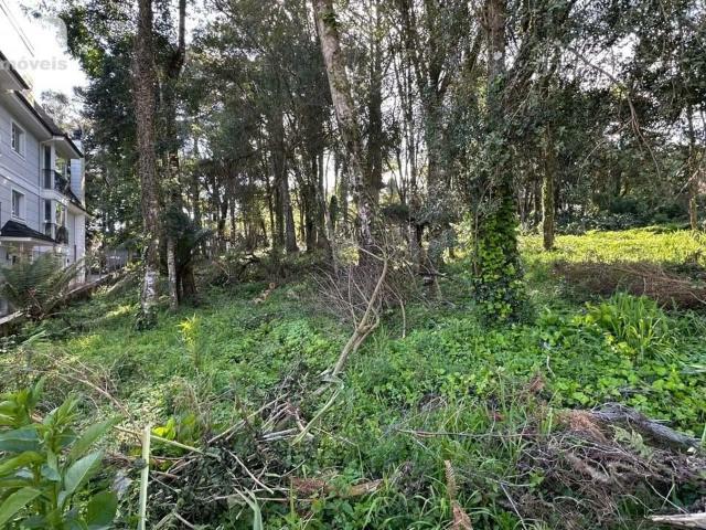 Terreno / Lote para Venda em Gramado/RS Tirol
