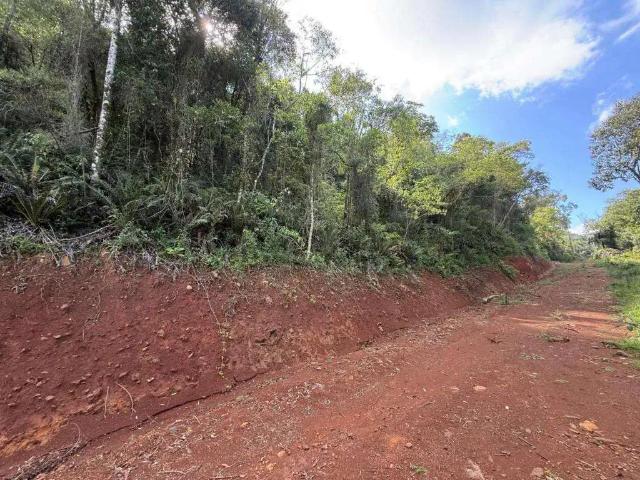 Terreno / Lote para Venda em Gramado/RS Três Pinheiros