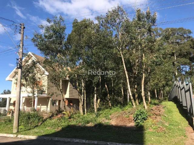Terreno / Lote para Venda em Gramado/RS Vale das Colinas