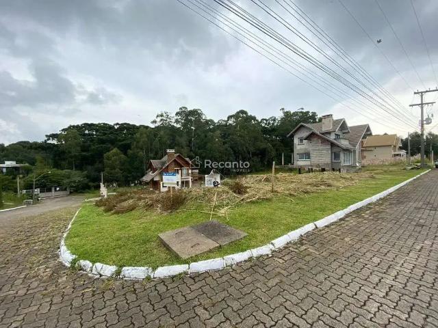 Terreno / Lote para Venda em Gramado/RS Vale das Colinas