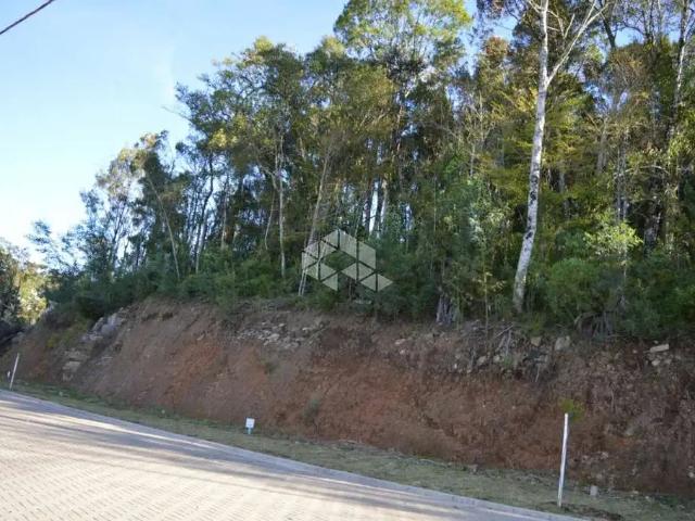 Terreno / Lote para Venda em Gramado/RS Vale das Colinas