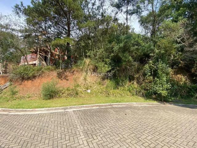 Terreno / Lote para Venda em Gramado/RS Vale das Colinas