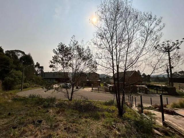 Terreno / Lote para Venda em Gramado/RS Vale das Colinas