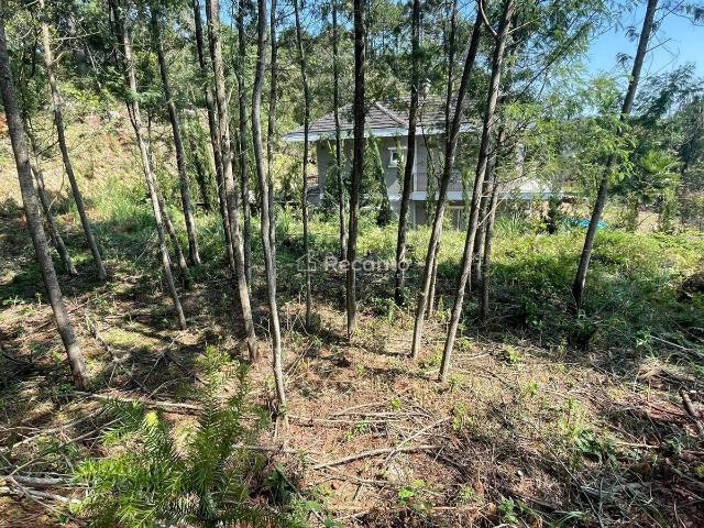 Terreno / Lote para Venda em Gramado/RS Vale das Colinas