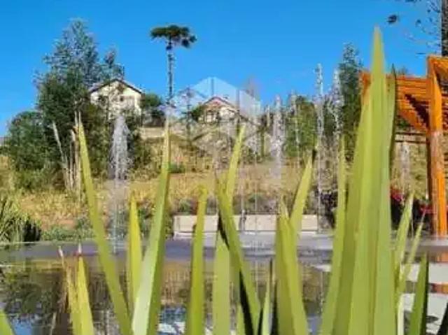 Terreno / Lote para Venda em Gramado/RS Vale das Colinas