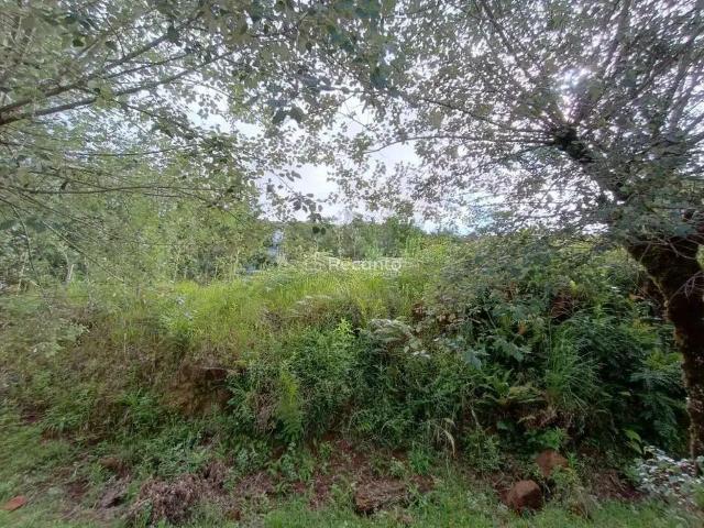 Terreno / Lote para Venda em Gramado/RS Vale das Colinas