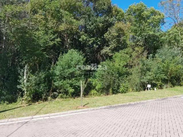 Terreno / Lote para Venda em Gramado/RS Vale das Colinas