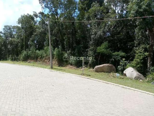 Terreno / Lote para Venda em Gramado/RS Vale das Colinas