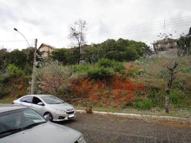 Terreno / Lote para Venda em Gramado/RS Vale das Colinas