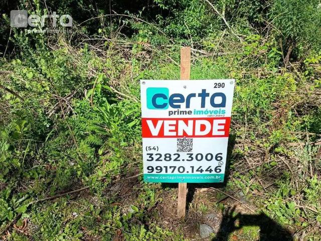 Terreno / Lote para Venda em Gramado/RS Vale dos Pinheiros