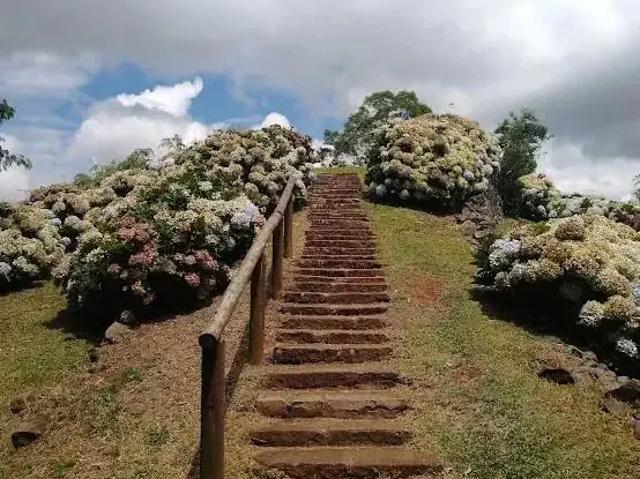 Terreno / Lote para Venda em Gramado/RS Vale dos Pinheiros