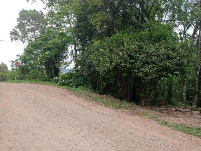 Terreno / Lote para Venda em Gramado/RS Vale dos Pinheiros