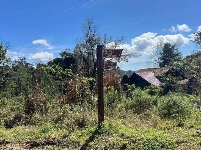 Terreno / Lote para Venda em Gramado/RS Vale dos Pinheiros