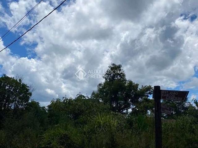 Terreno / Lote para Venda em Gramado/RS Vale dos Pinheiros