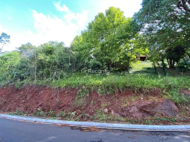 Terreno / Lote para Venda em Gramado/RS Vale dos Pinheiros