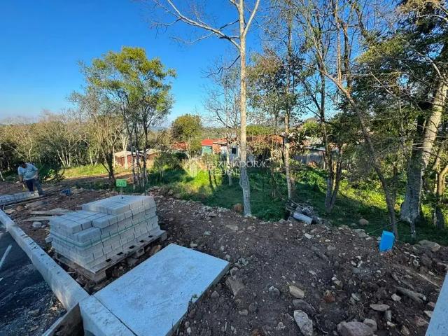 Terreno / Lote para Venda em Gramado/RS Várzea Grande 1º de Maio