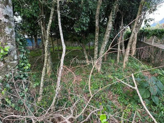 Terreno / Lote para Venda em Gramado/RS Várzea Grande Belvedere