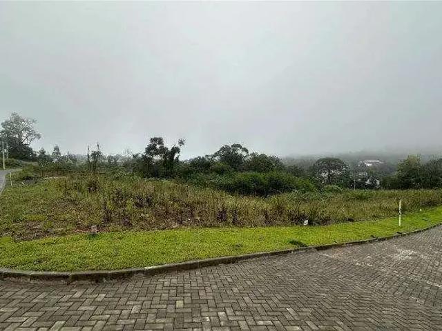 Terreno / Lote para Venda em Gramado/RS Várzea Grande 1º de Maio