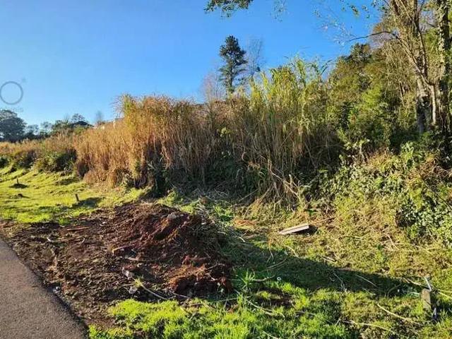 Terreno / Lote para Venda em Gramado/RS Várzea Grande 1º de Maio